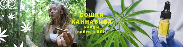 дмт Козловка