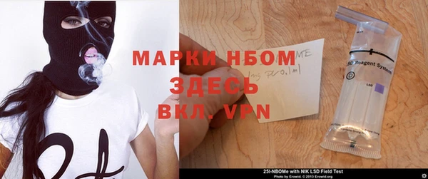 гидра Кодинск