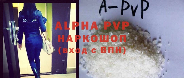 гидра Кодинск