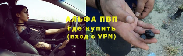 гидра Кодинск