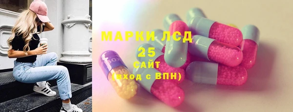 гидра Кодинск
