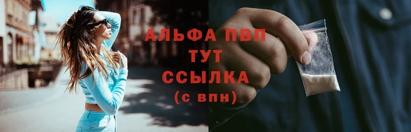 спиды Коряжма