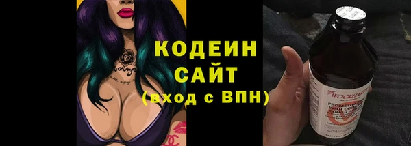 гидра Кодинск