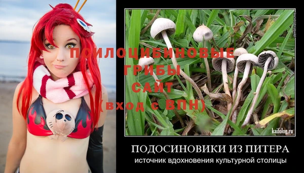 крисы Березники