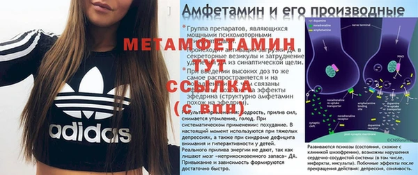 гидра Кодинск