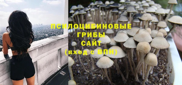 спиды Коряжма
