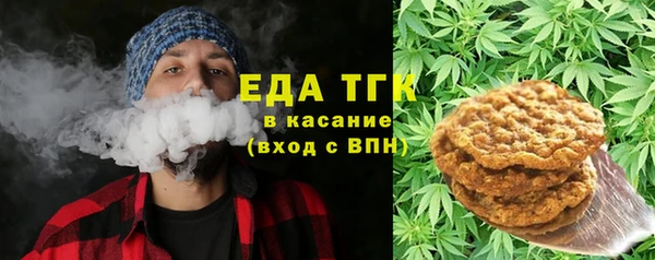 гидра Кодинск