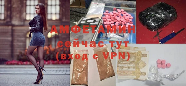 гидра Кодинск