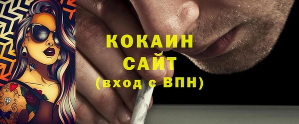 гидра Кодинск