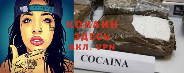гидра Кодинск